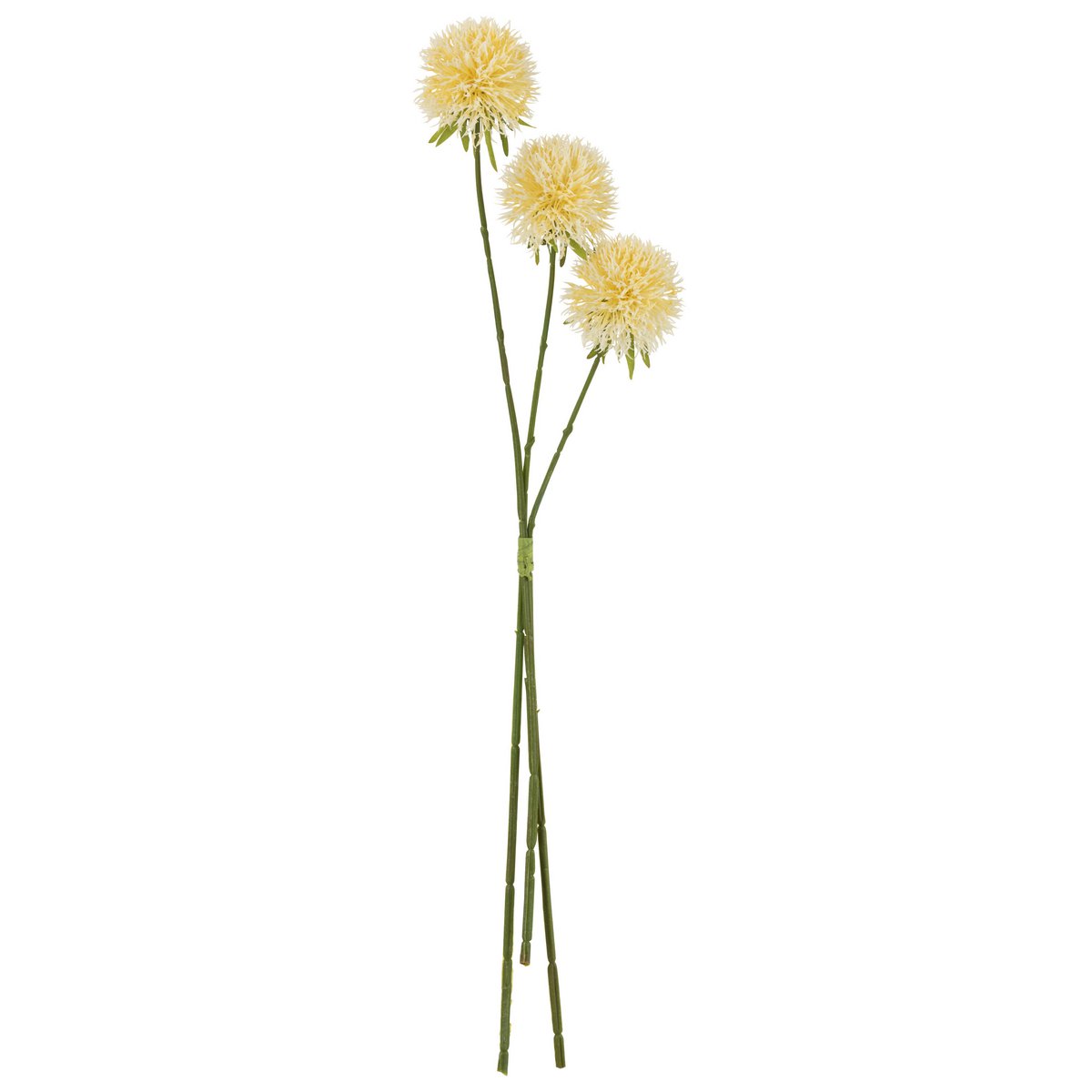 J-Line - Fleur Allium 3 Pièces Plastique Jaune Clair L