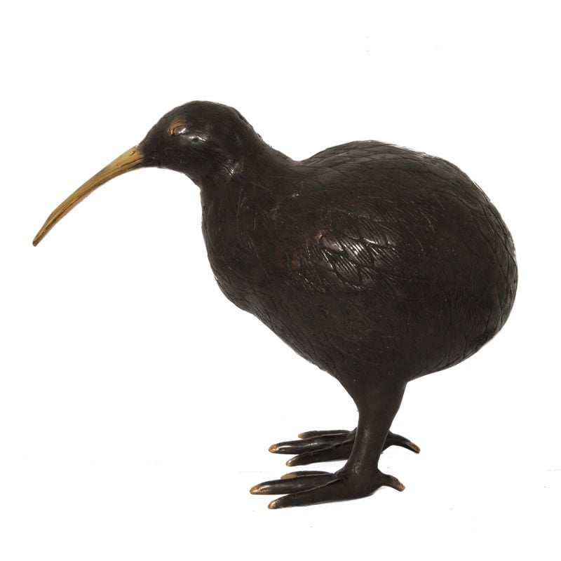 Pol zu Pol - H28 Kiwi Vogel M