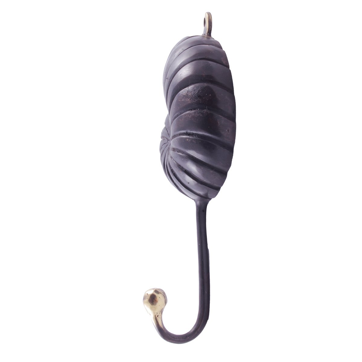 Pole to Pole – Nautilus-Haken aus Messing (5er-Set)