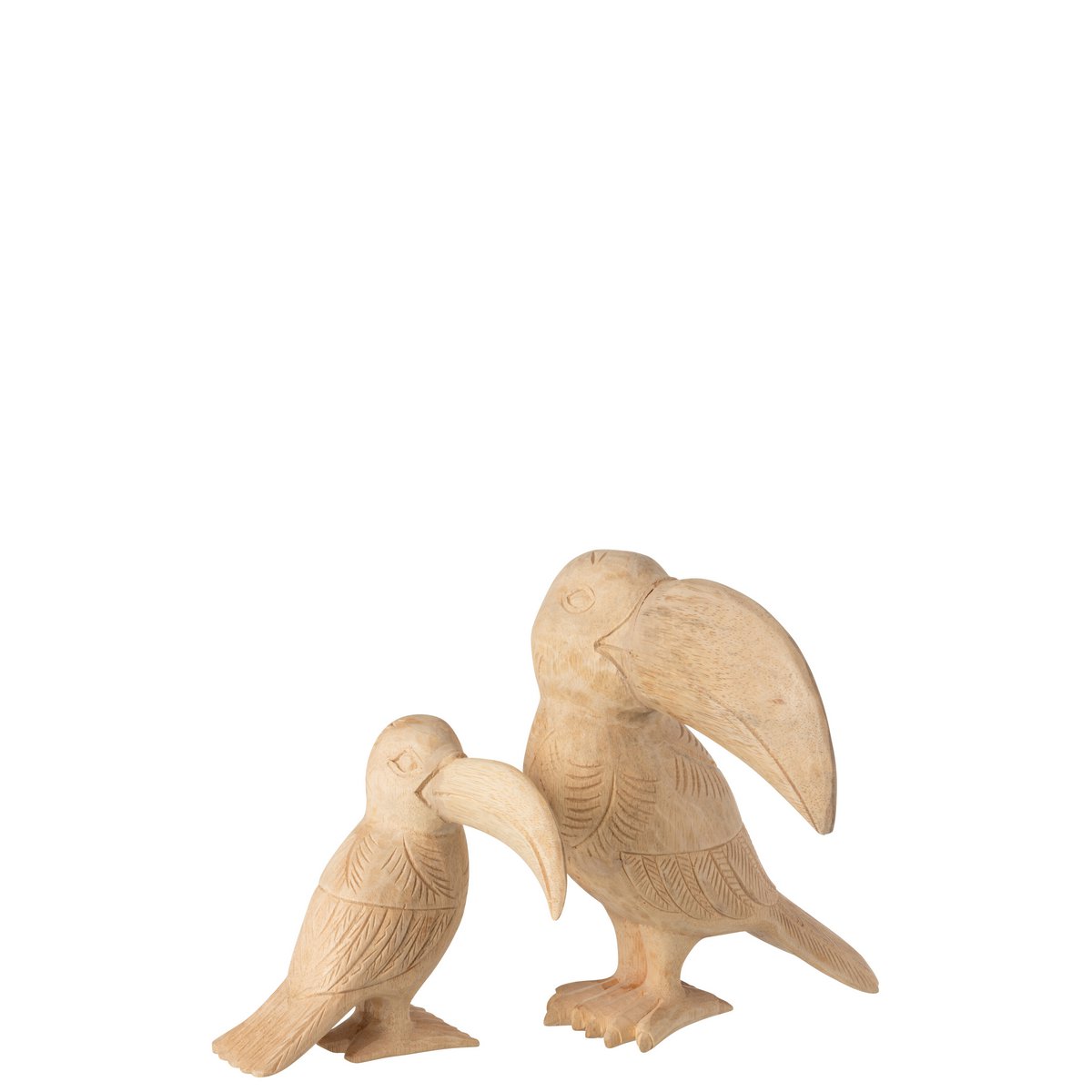 J-Line – Toucan Albasia Wood Natural Large