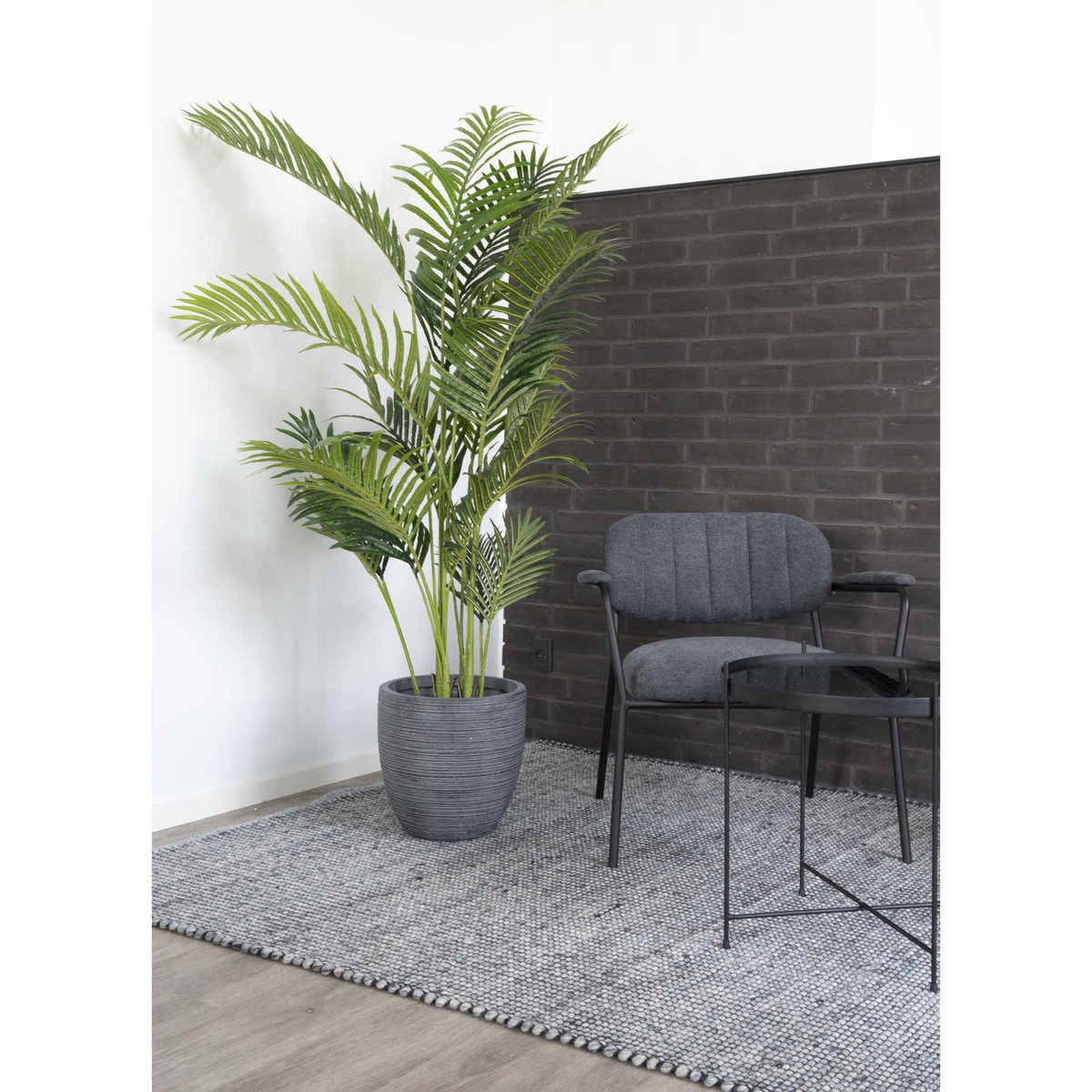 House Nordic - Areca palm