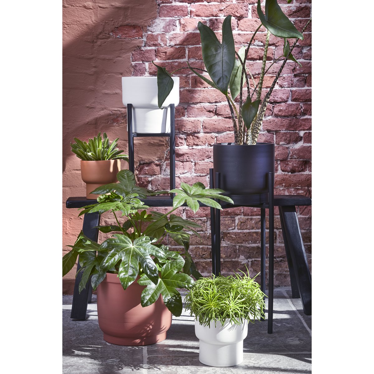 Mica Decorations - Support pour Plantes Ascot XL - L38 x L38 x H71 cm - Métal - Noir