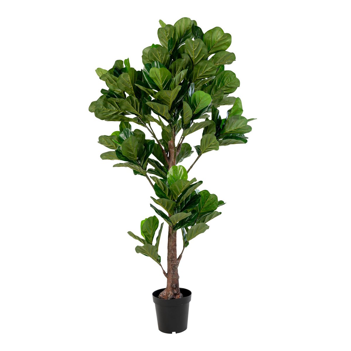 House Nordic - Fiddle Leaf Tree