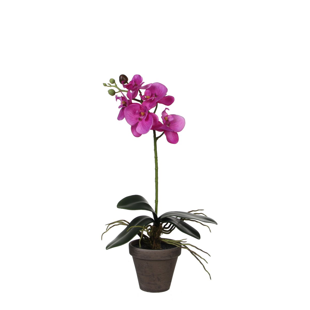 Glimmerdekorationen – Künstliche Phalaenopsis-Pflanze im Blumentopf – H48 x Ø13 cm – Lila