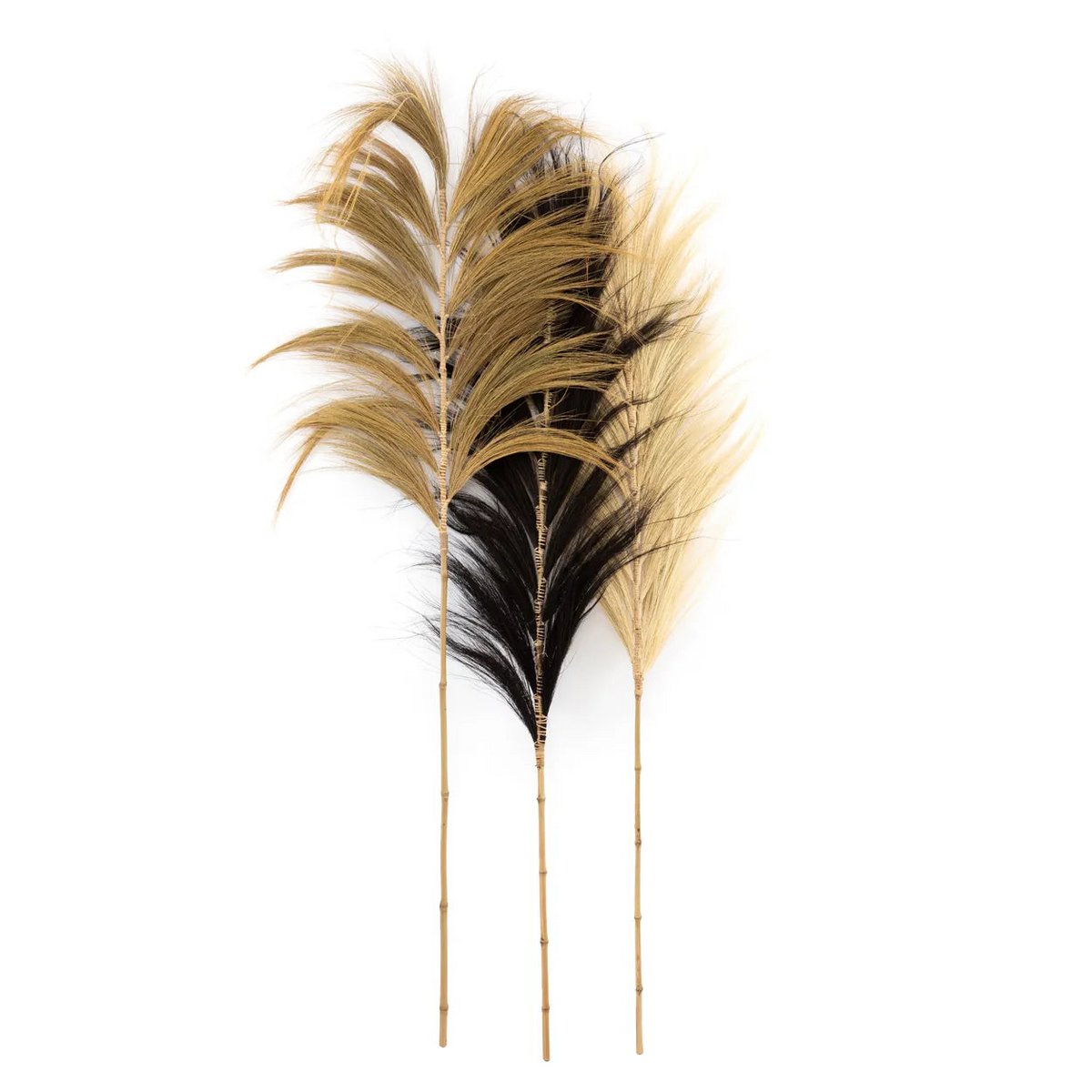 Bazar Bizar - Pampas-Dekoration 'Atemberaubendes Blatt' (6er-Set, Natur)