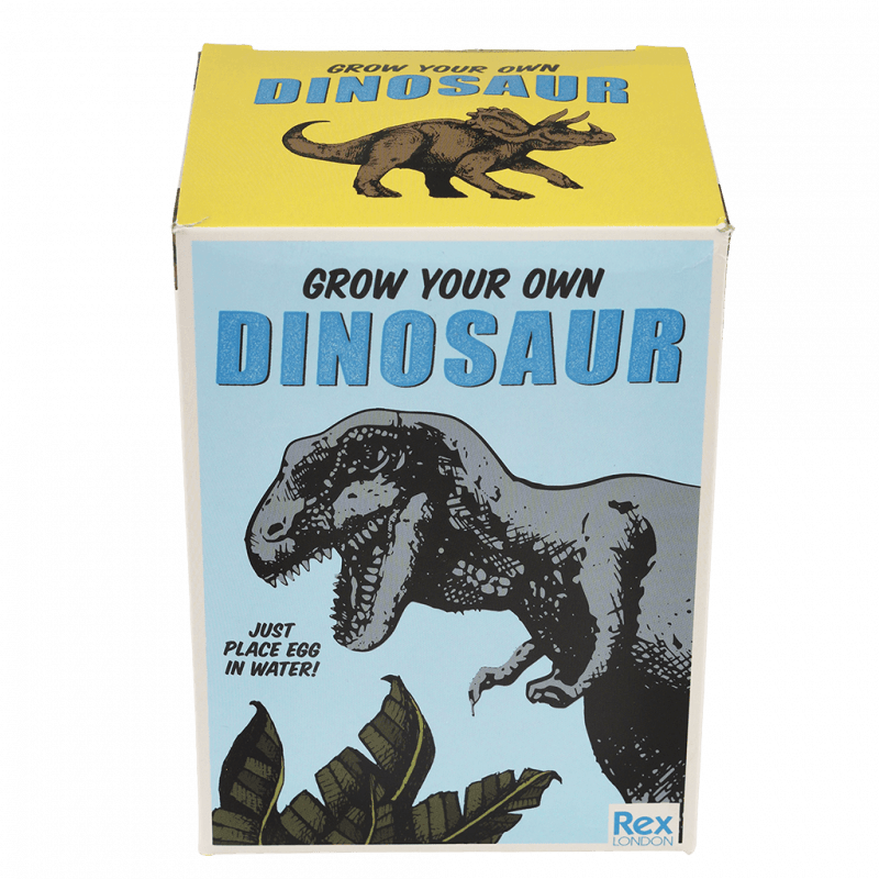 Rex London - Speelgoed 'Dinosaurus Ei' (Groot)