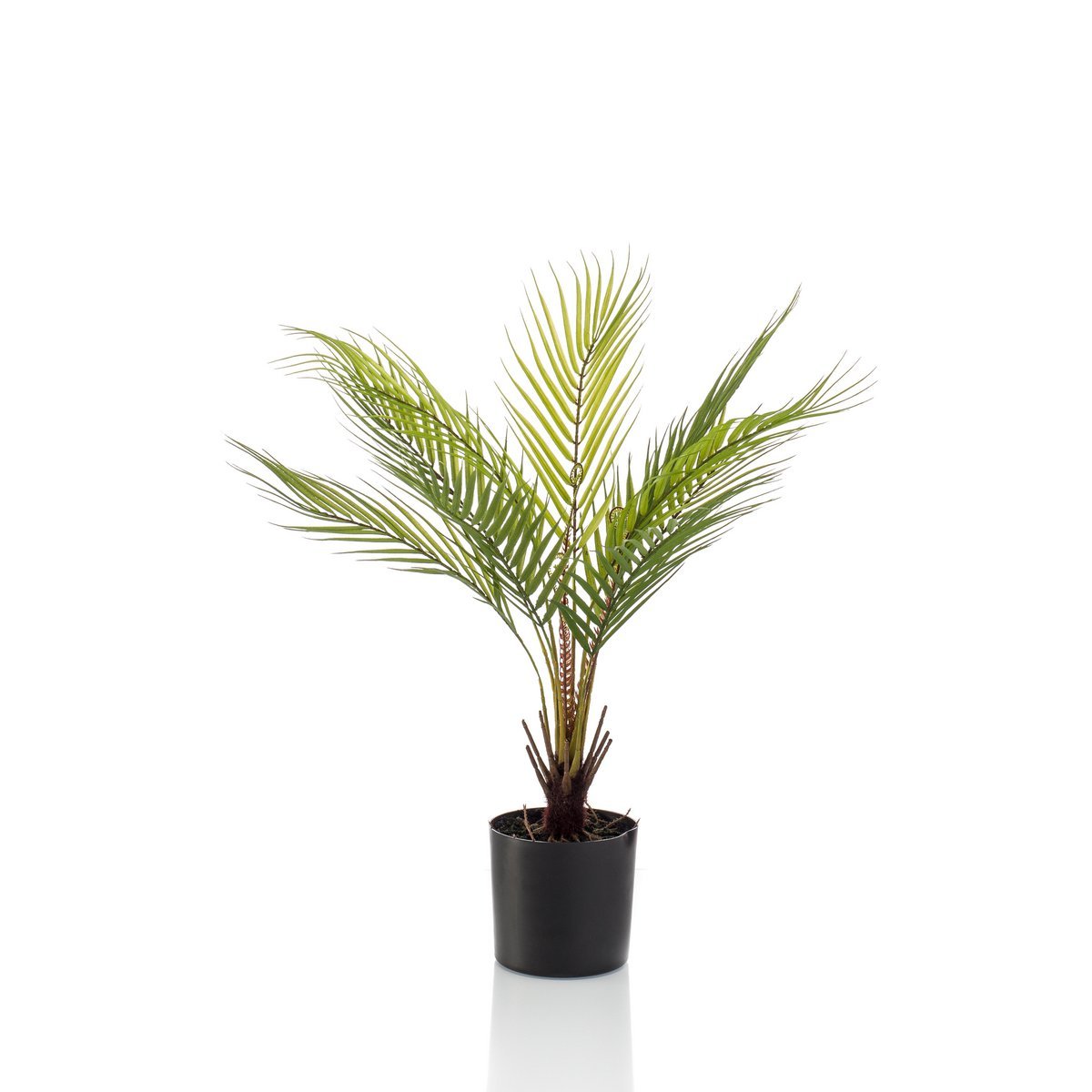 Green BoutiQ - Kunstplant - Chamaedorea - Bergpalm - 50 cm