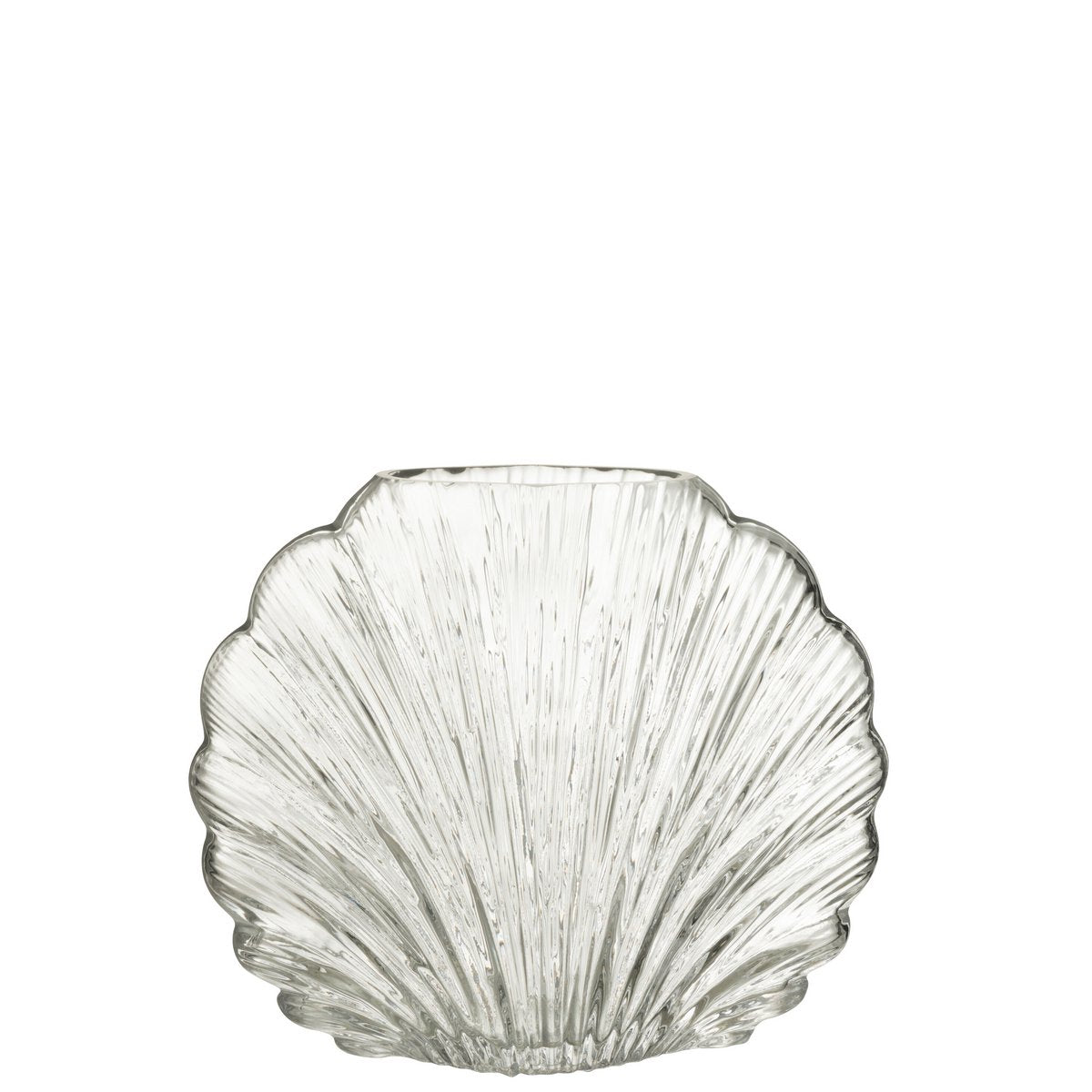 J-Line - Vase Shell - Glas - Transparent - Groß