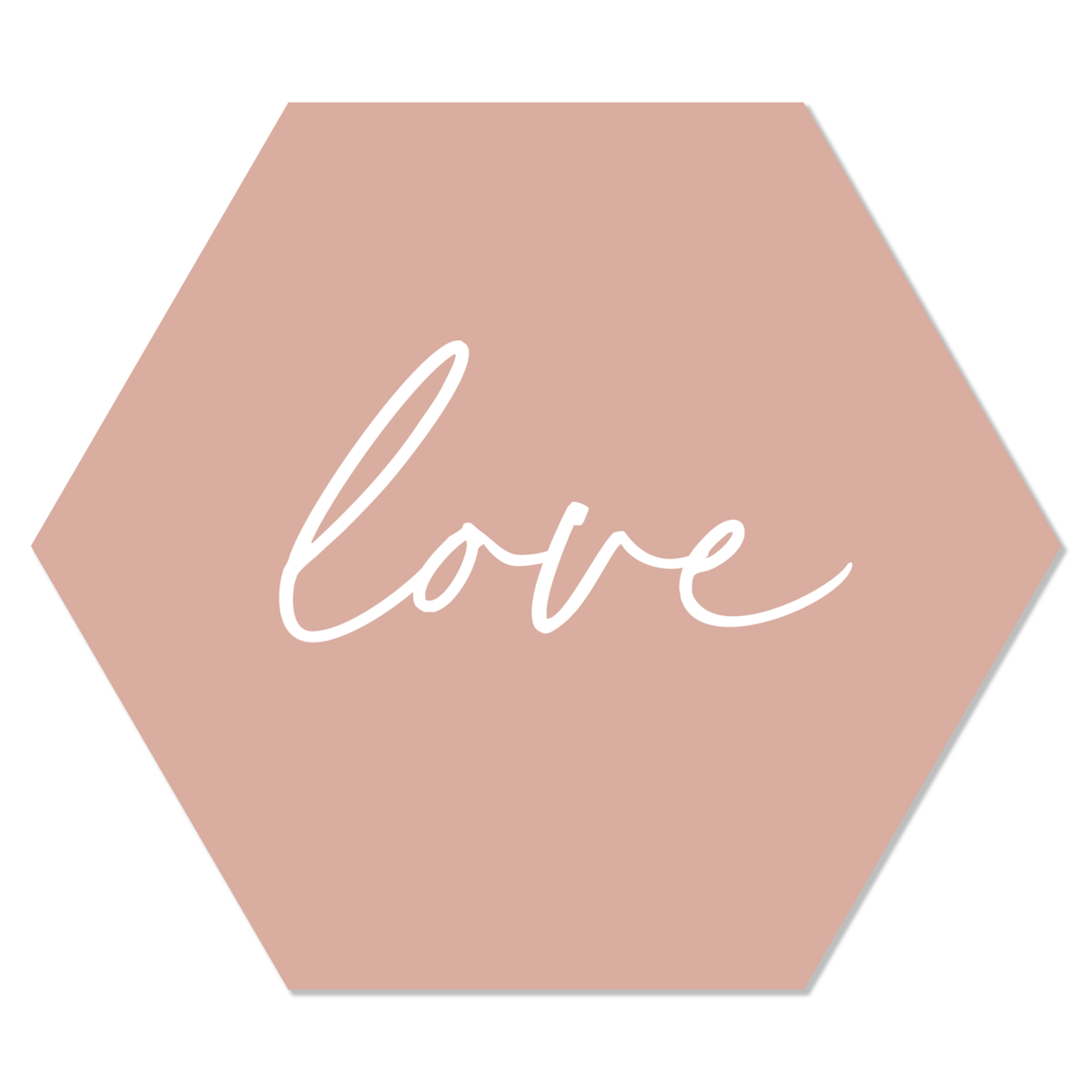 Label2X – Wandsechseck Love Salmon