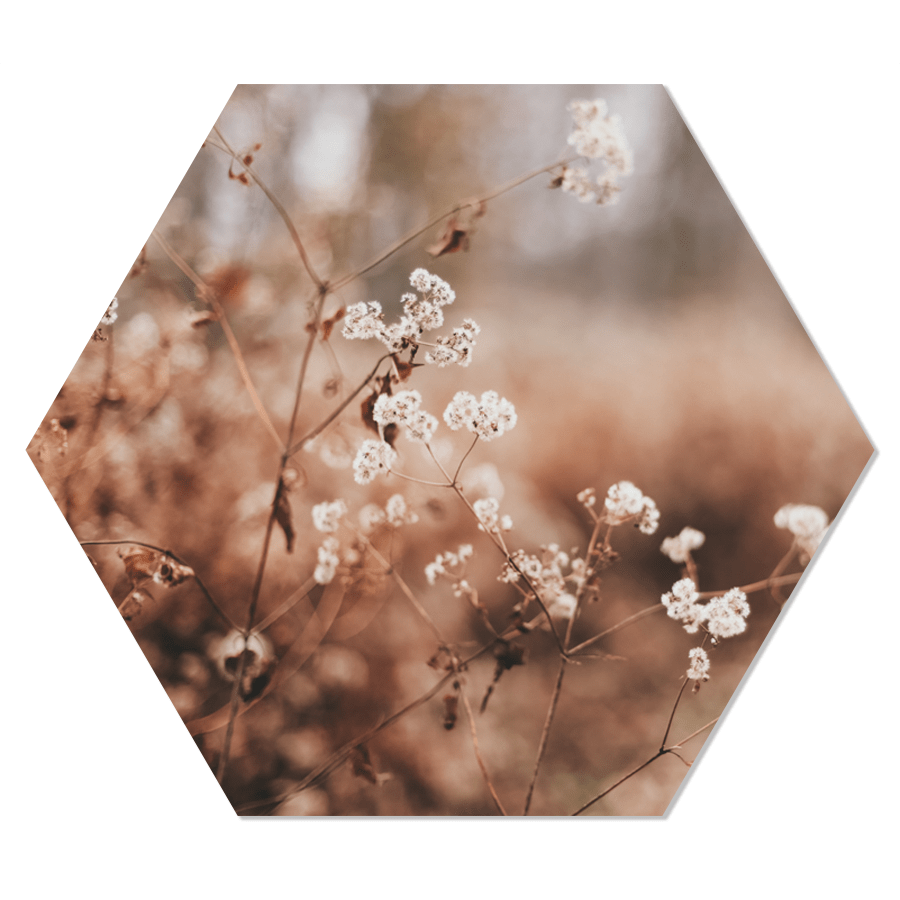 Label2X - Mur hexagonal cosy fleur