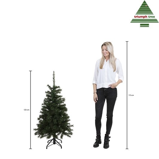 Maison d'Abri® - Sapin de Noël Artificiel Forest Givré - H120 x Ø99 cm - Vert