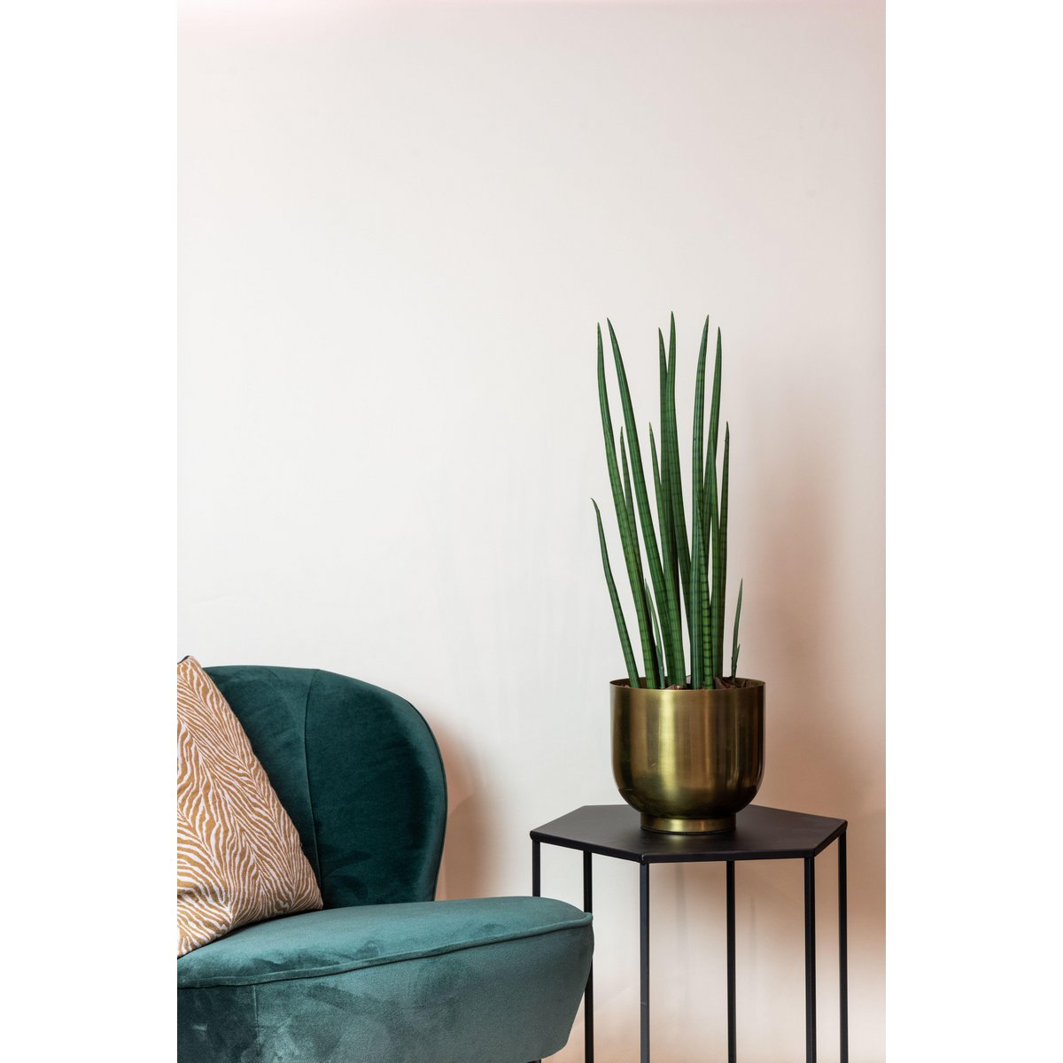 Green BoutiQ - Kunstplant - Sanseveria Cylindrica - Vrouwentong - 70 cm