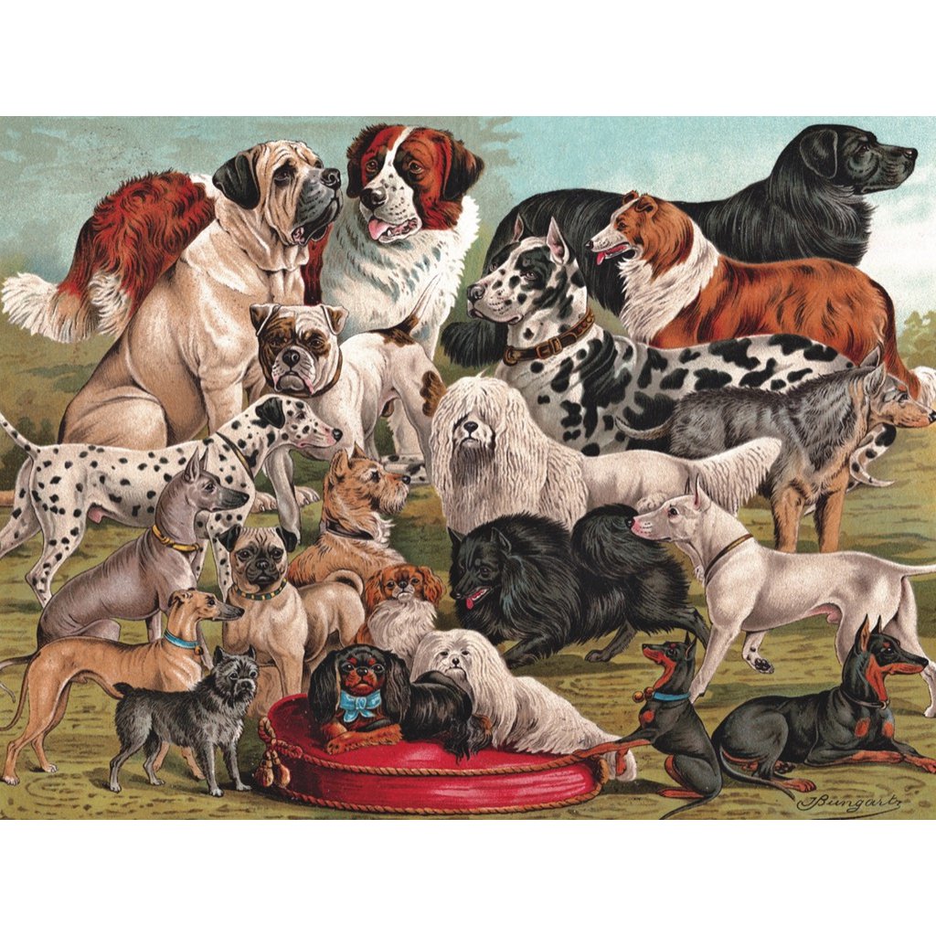 New York Puzzle Company - Puzzle 'Races de chiens' (1000 pièces)