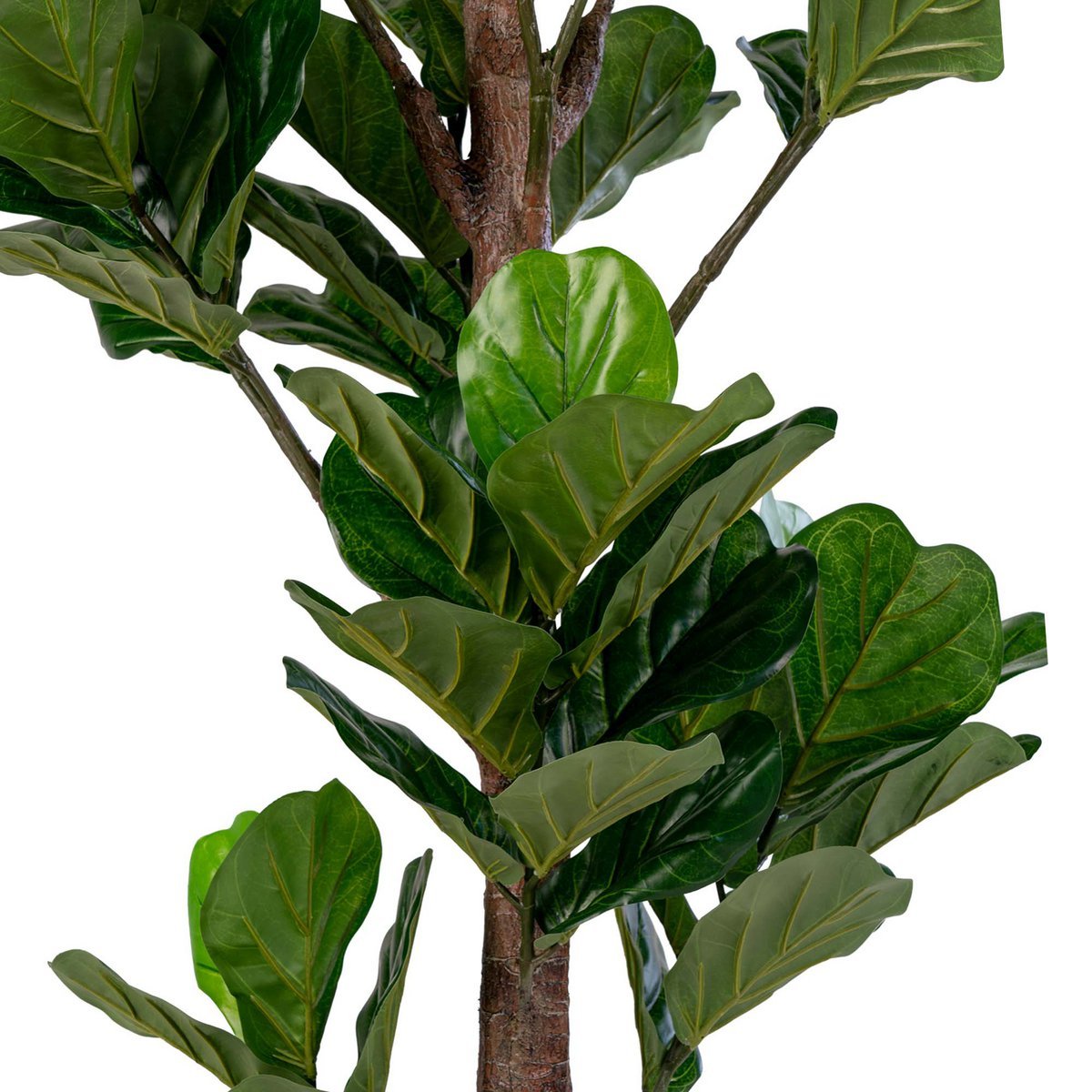 House Nordic - Fiddle Leaf Tree