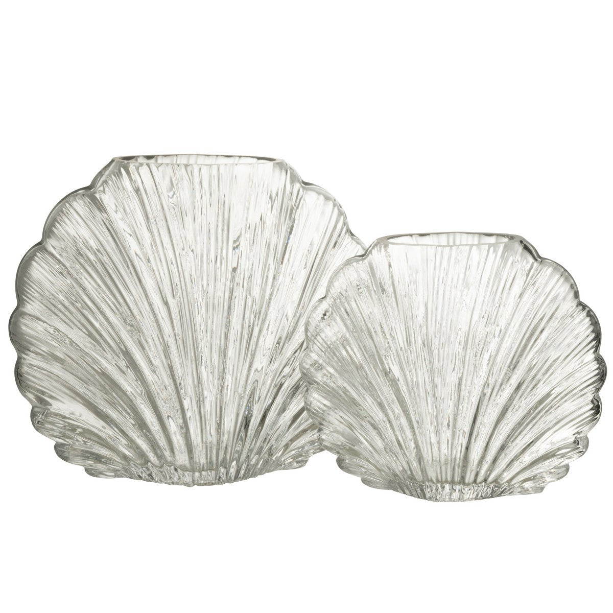 J-Line - Vase Shell - Glas - Transparent - Groß