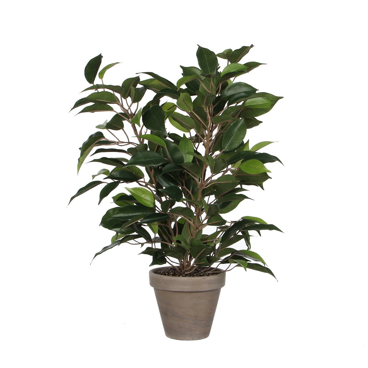 Mica Decorations - Ficus Natasja Kunstplant in Bloempot Stan - H40 x Ø30 cm - Groen
