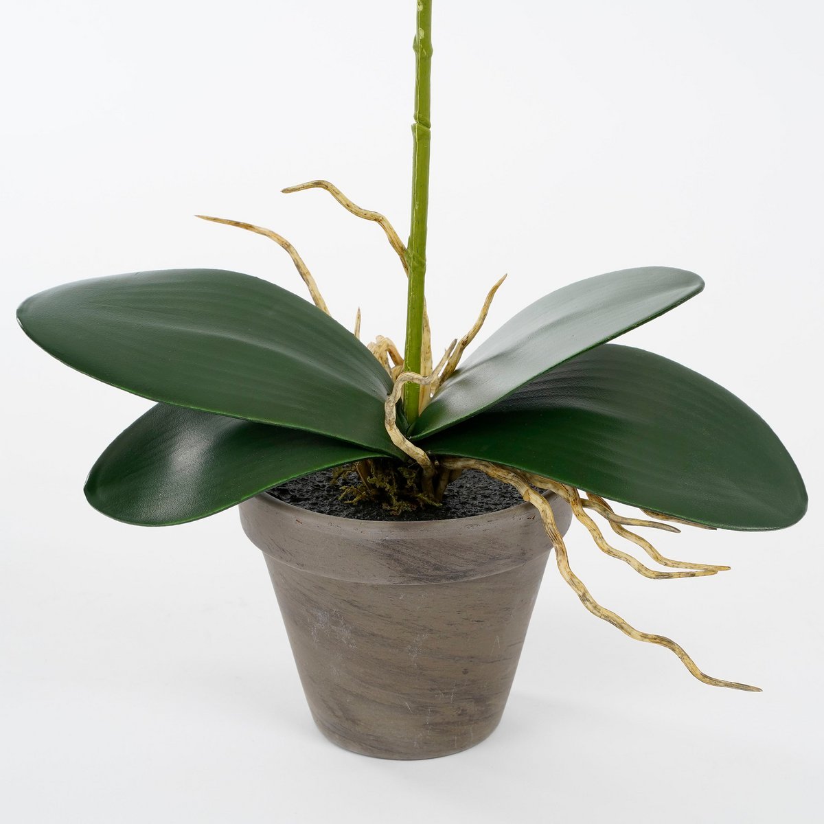 Glimmerdekorationen – Künstliche Phalaenopsis-Pflanze im Blumentopf – H48 x Ø13 cm – Lila