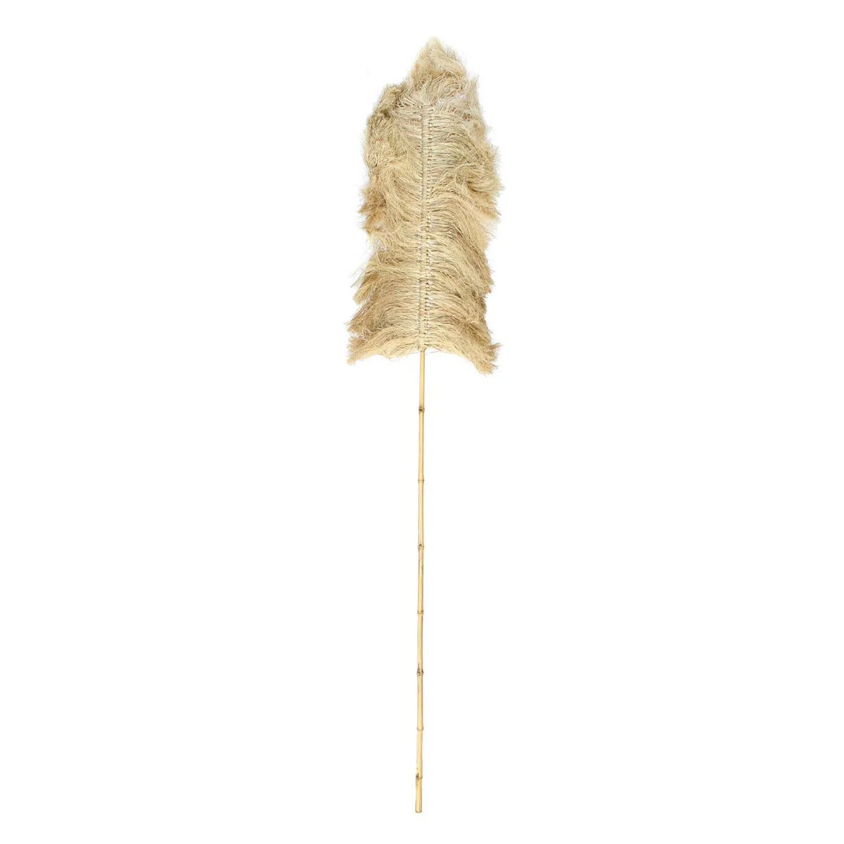 Bazar Bizar - Pampas decoratie 'Raffia Palmeira' (Naturel)