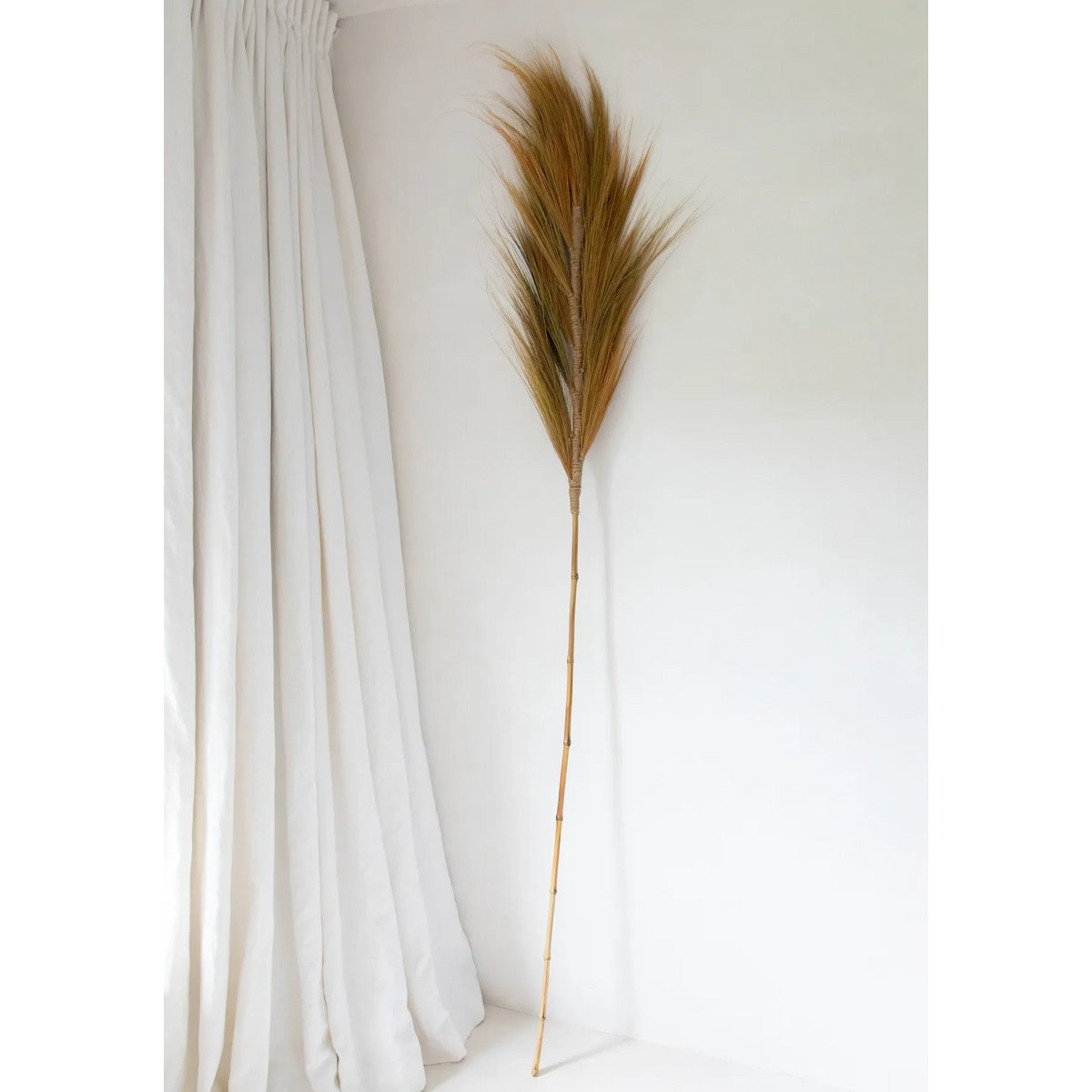 Bazar Bizar - Pampas decoratie 'Stunning Leaf' (Set van 6, Naturel)