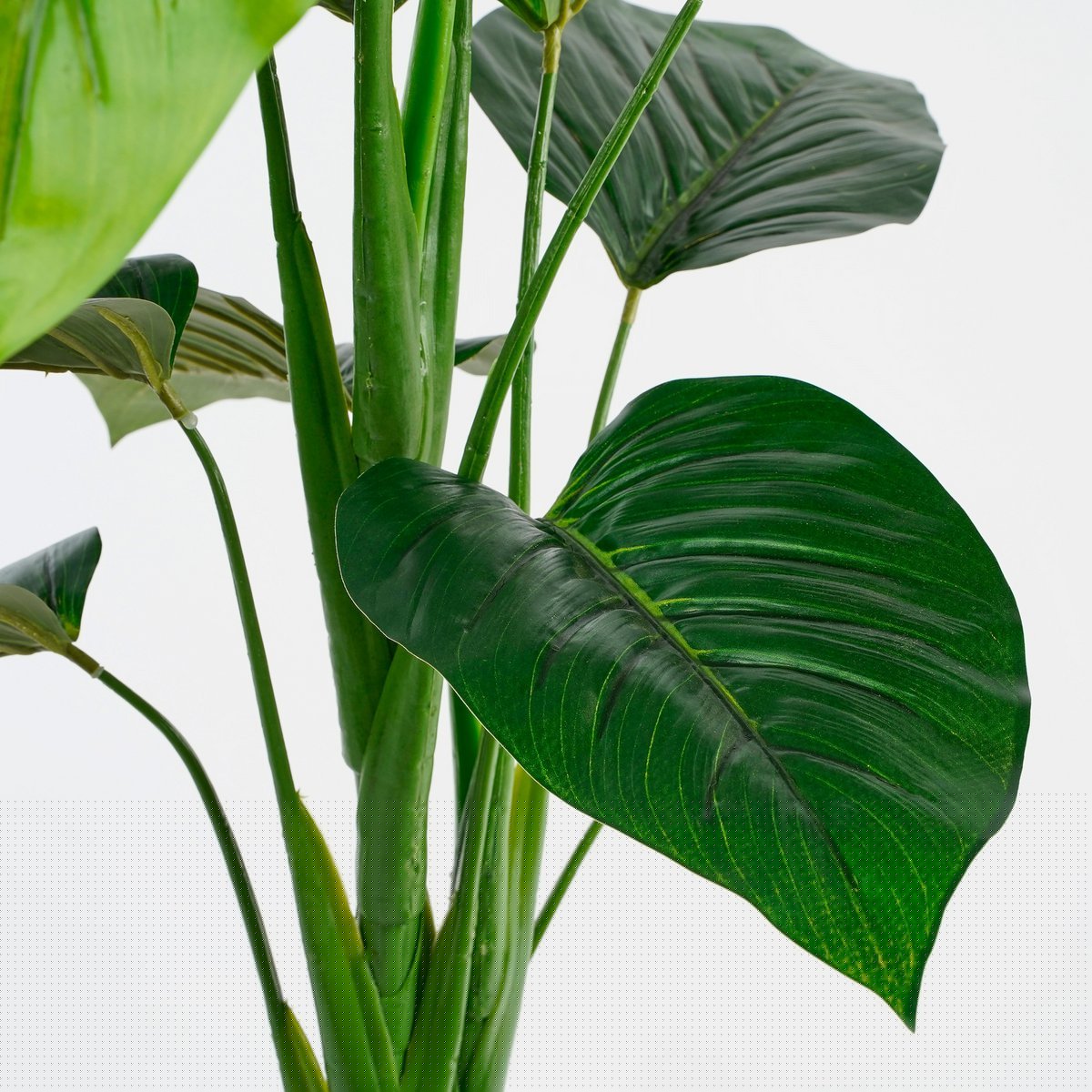 Glimmerdekorationen – Kunstpflanze Philodendron – H100 x Ø70 cm – Grün