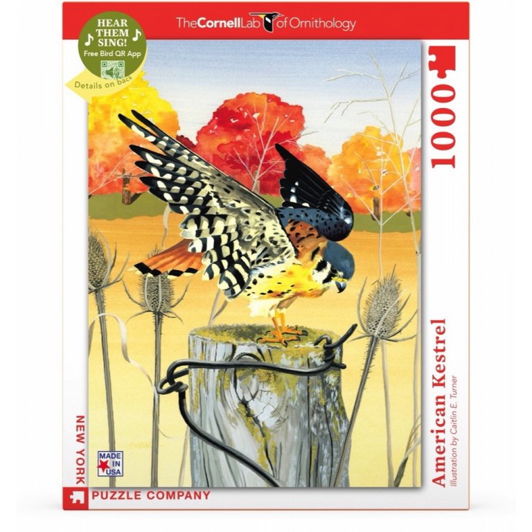 New York Puzzle Company - Puzzle 'Amerikanischer Turmfalke' (1000 Teile)