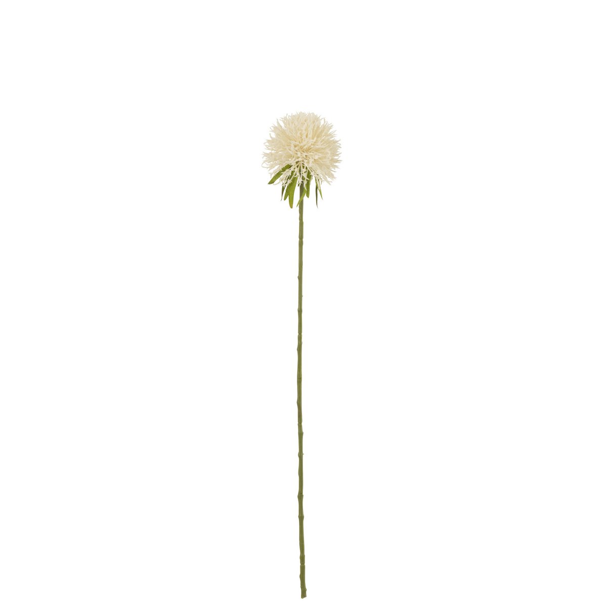 J-Line - Fleur Allium - Plastique - Blanc - Petit