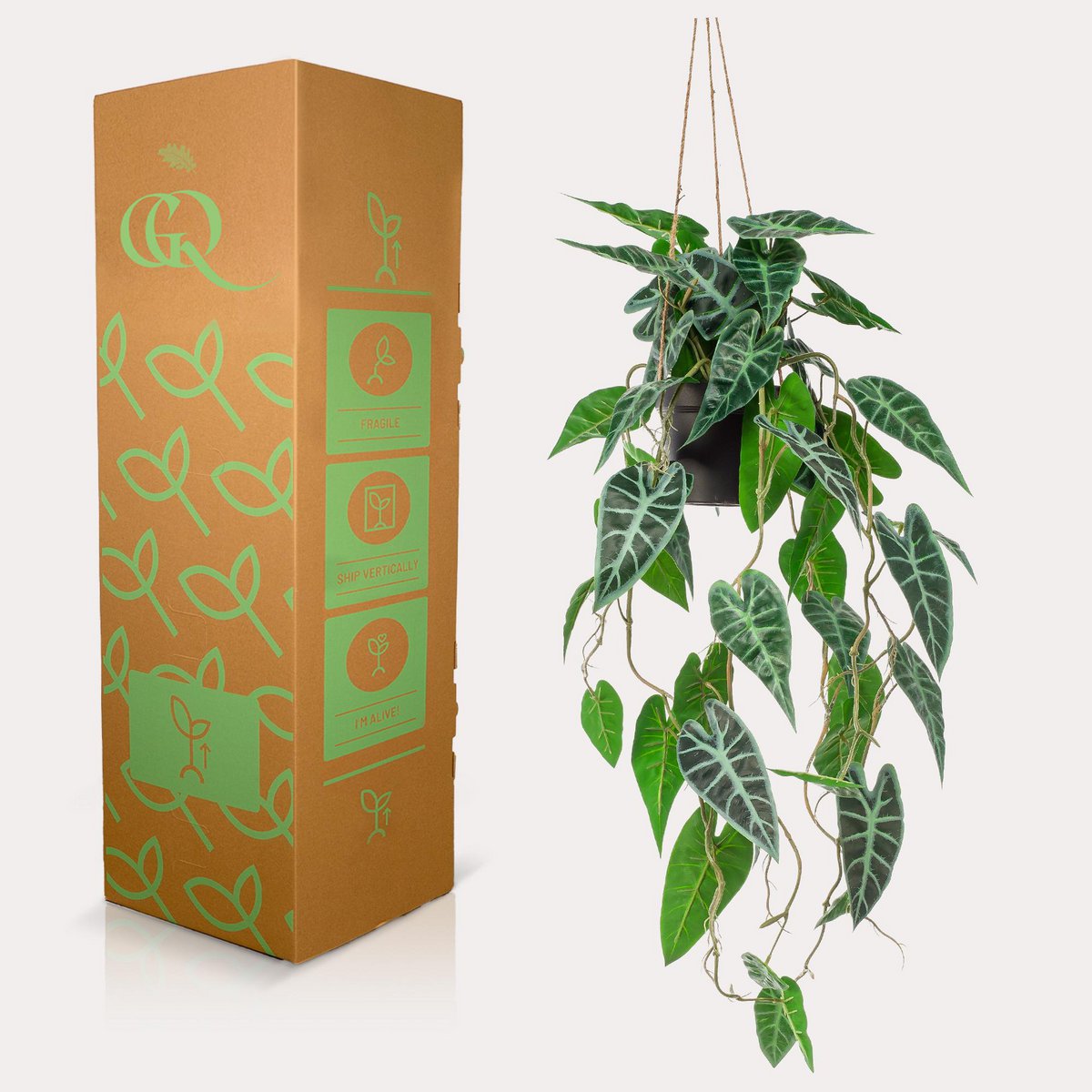 Green BoutiQ - Kunstplant - Alocasia - Olifantsoor - 80 cm