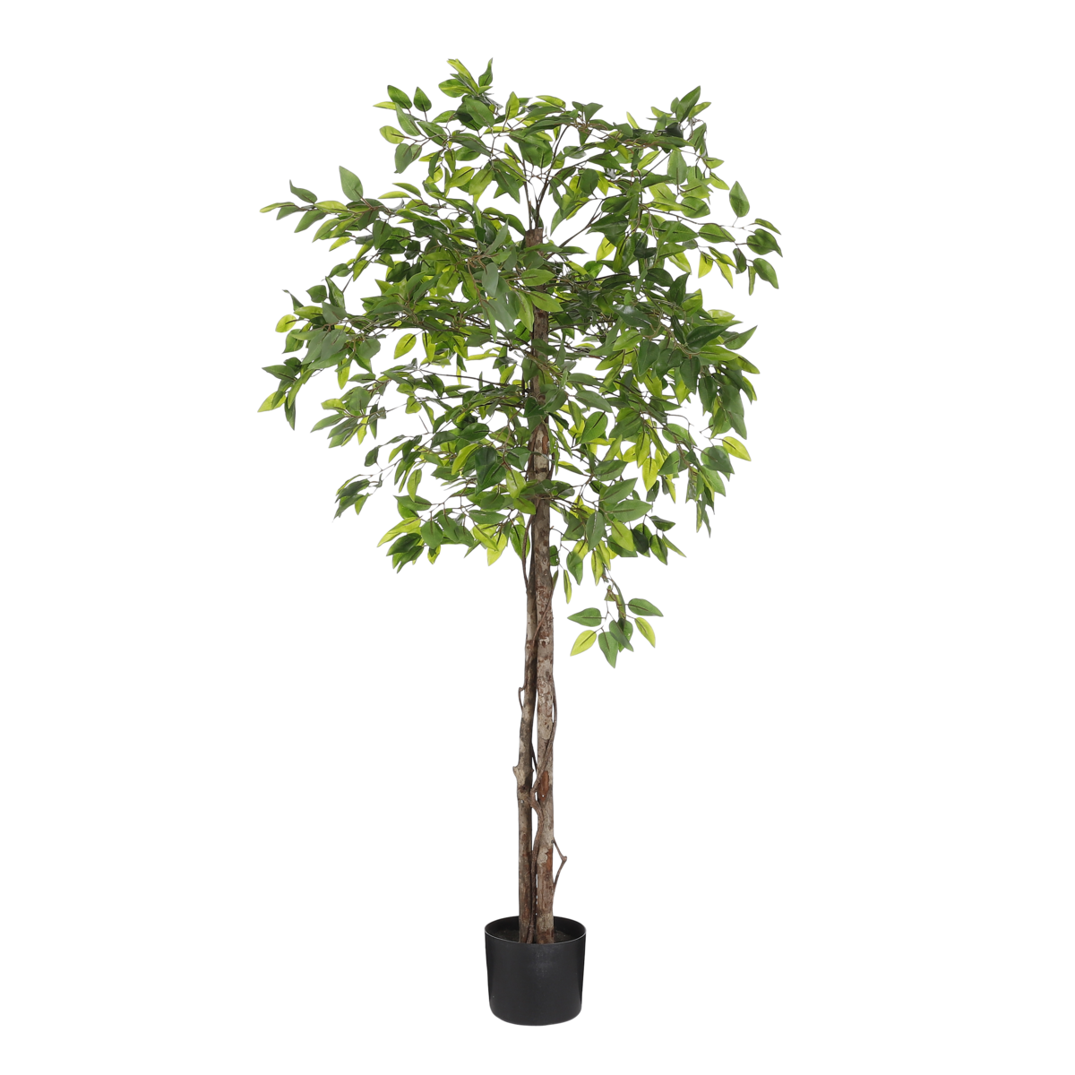 Mica Decorations - Ficus Kunstplant in Bloempot - H150 x Ø50 cm - Groen 