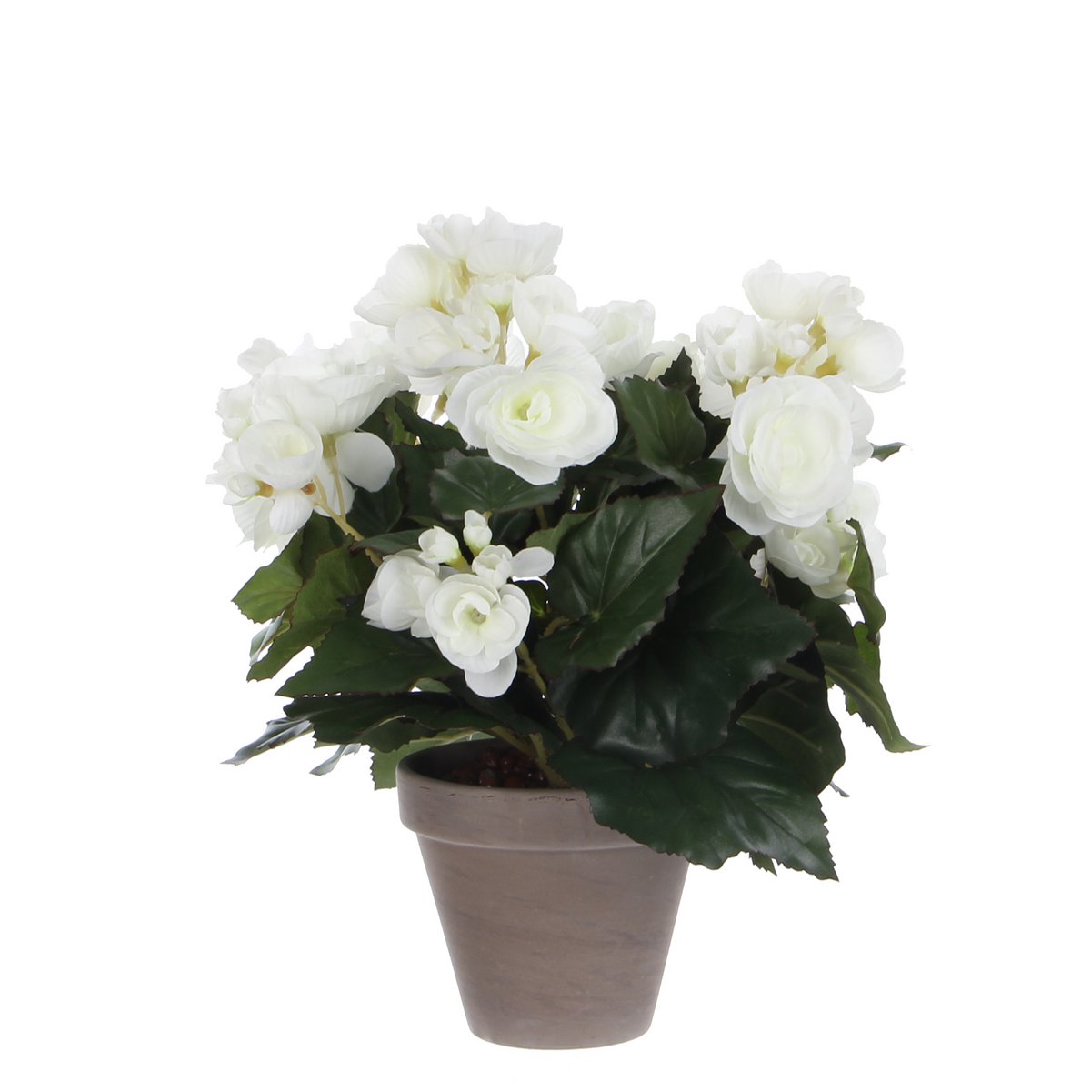 Mica Decorations - Begonia Kunstplant in Bloempot Stan - H30 x Ø25 cm - Wit