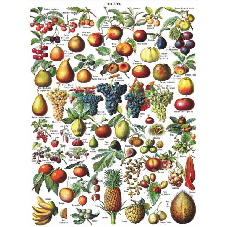 New York Puzzle Company - Puzzle 'Fruits' (1000 pièces)