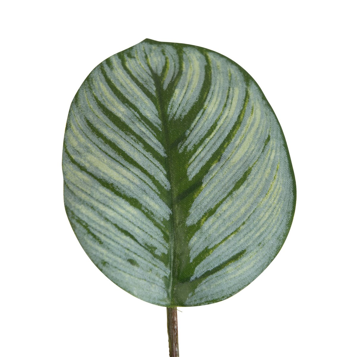 J-Line - Calathea im Topf, Kunststoff-Grünmischung