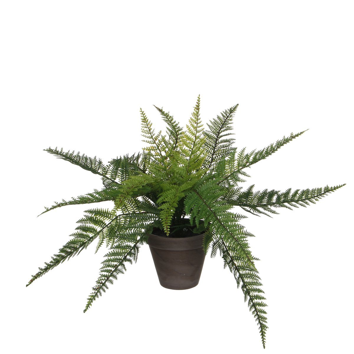 Mica Decorations - Fougère Artificielle Plante en Pot de Fleur Stan - H38 x Ø50 cm - Vert