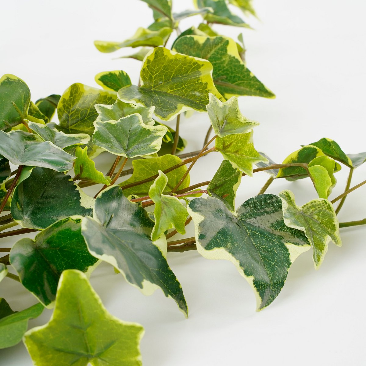 Mica Decorations - Plante Artificielle Suspendue Hedera - H71 cm - Panachée Verte