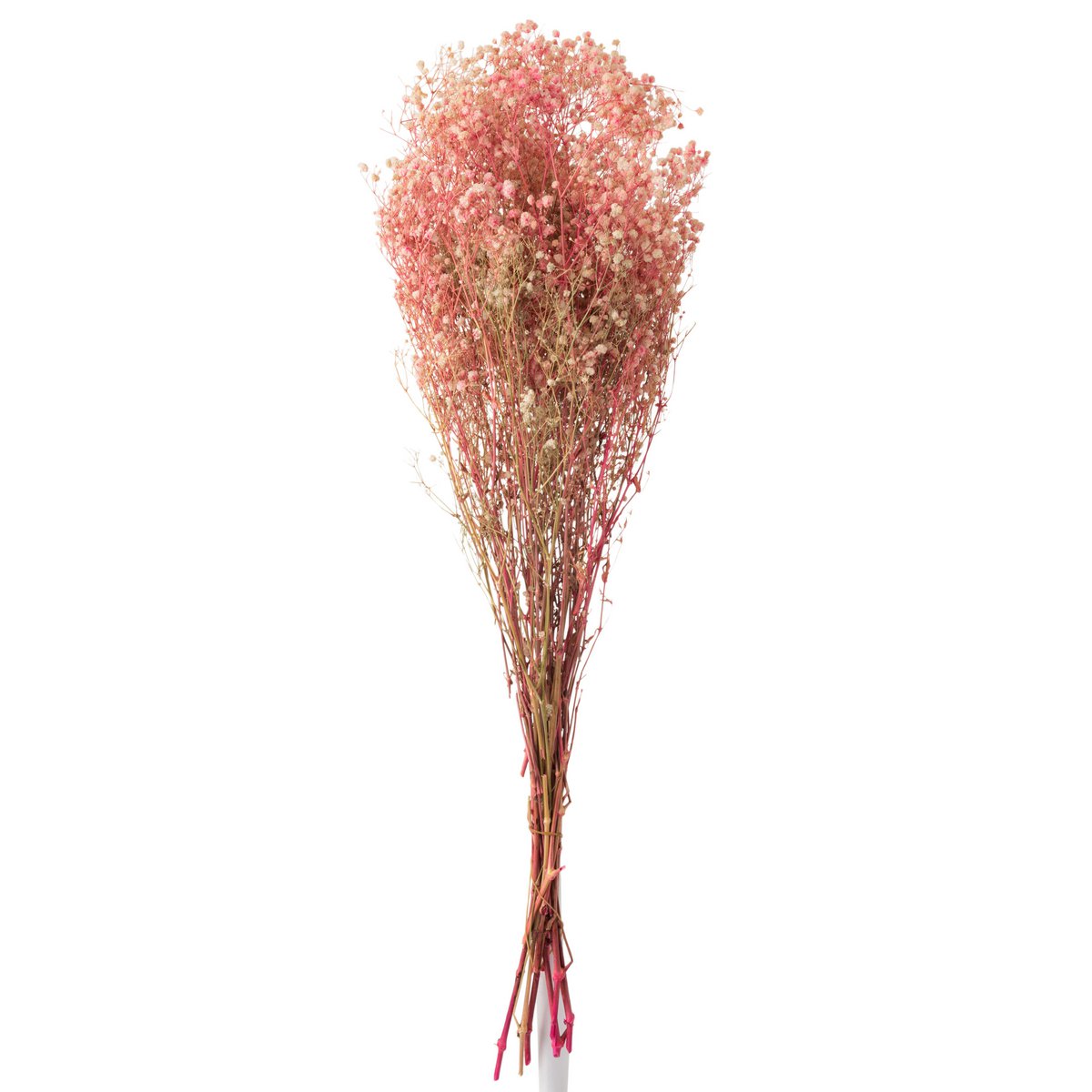 J-Line – Bundle Gypsophilia Dried Pink