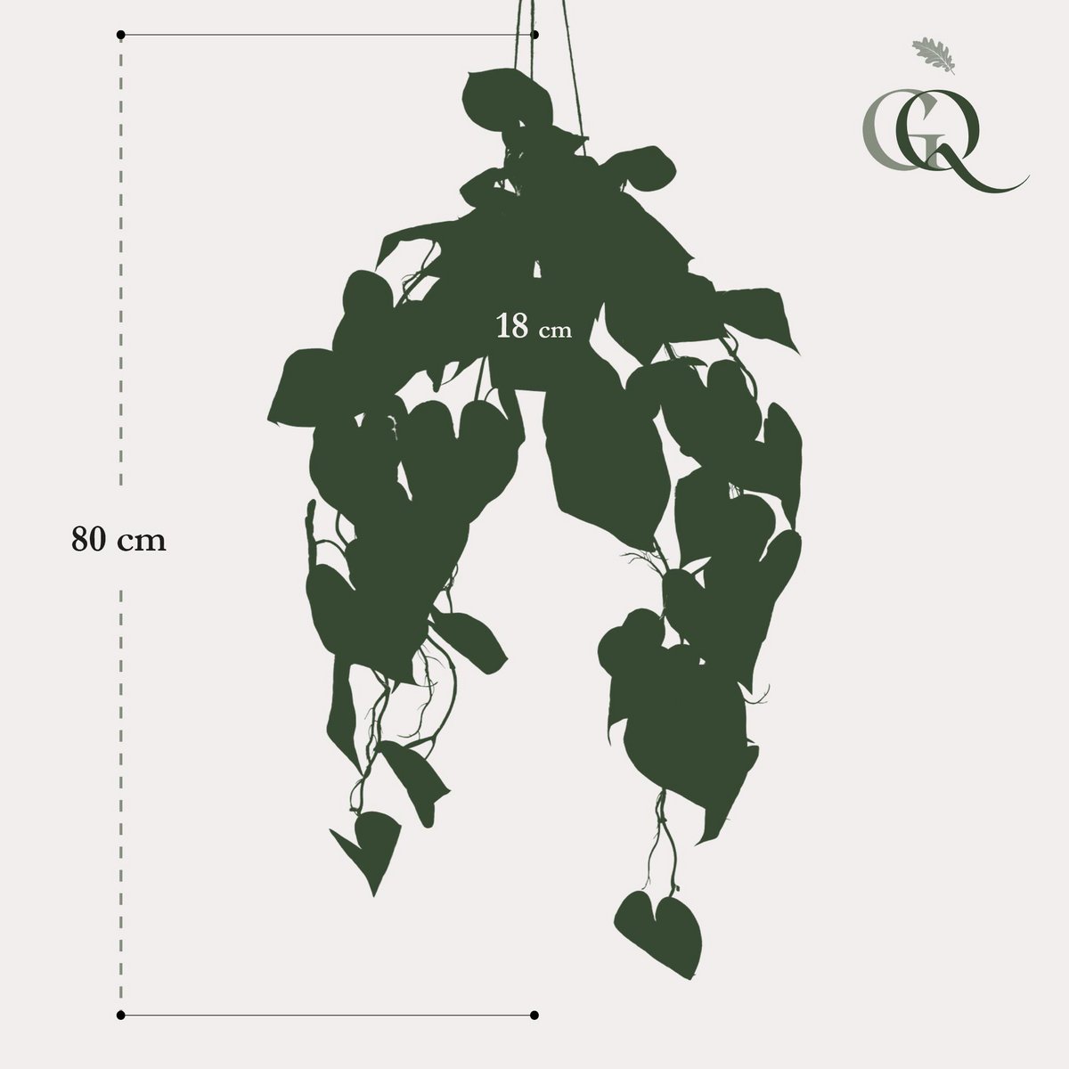 Green BoutiQ - Kunstplant - Anthurium Clarinervium - Aderplant - 80 cm