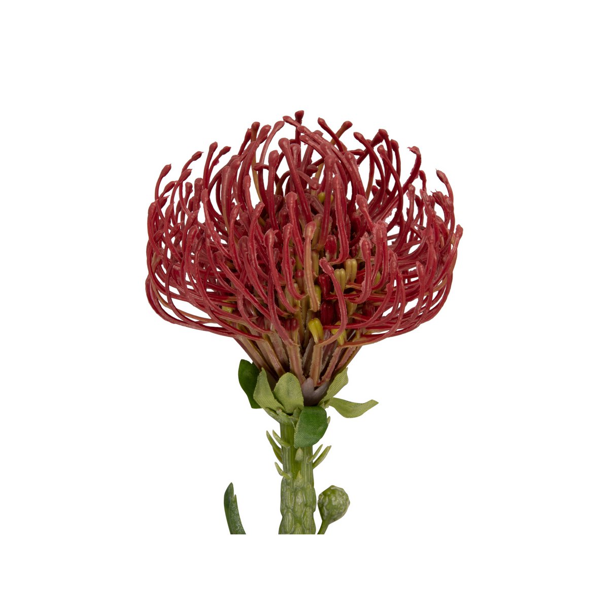 Present Time - Plante Artificielle Protea Fleur Grande - PT3905RD