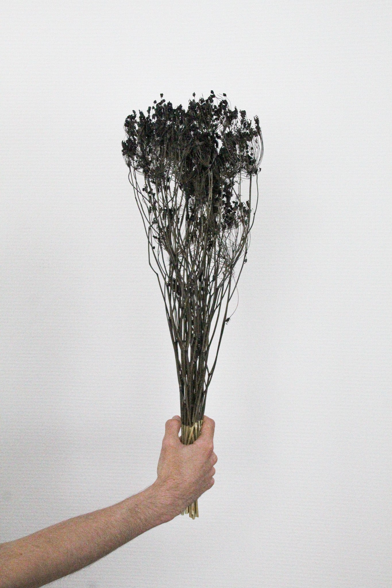 Couronne - Bouquet de fleurs séchées 'Fenouil' (Noir)