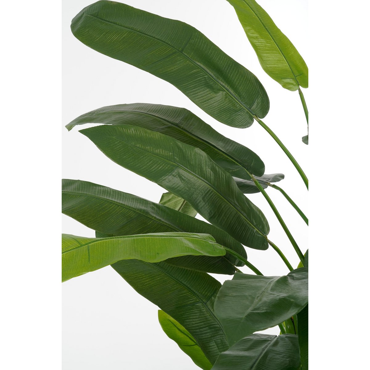 Glimmerdekorationen – Kunstpflanze Heliconia – H175 x Ø140 cm – Grün