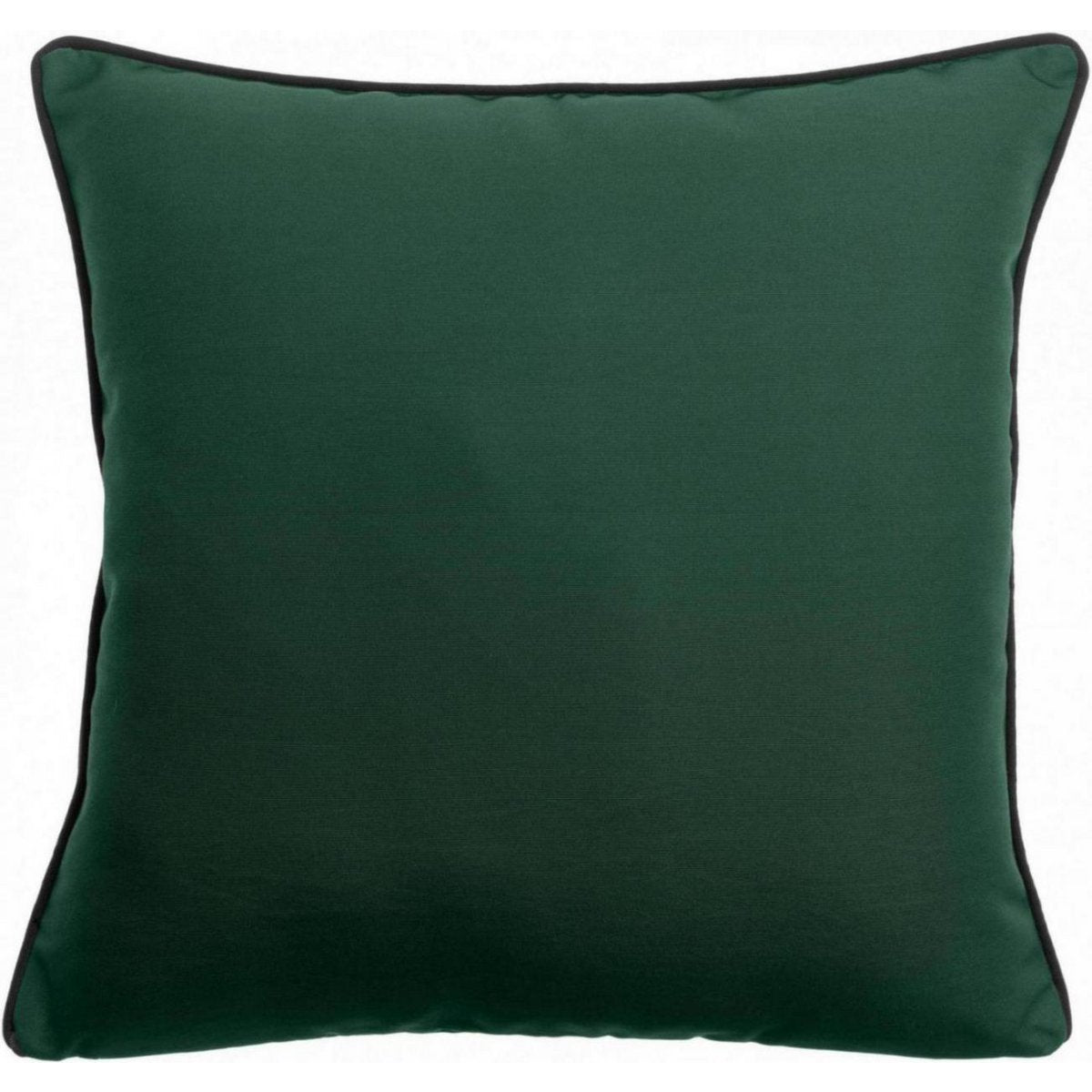 VIVARAISE - Coussin d'extérieur Algue uni Epicéa 45 x 45