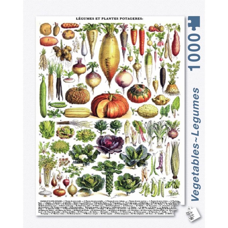 New York Puzzle Company - Puzzel 'Vegetables ~ Légumes' (1000 stukjes)