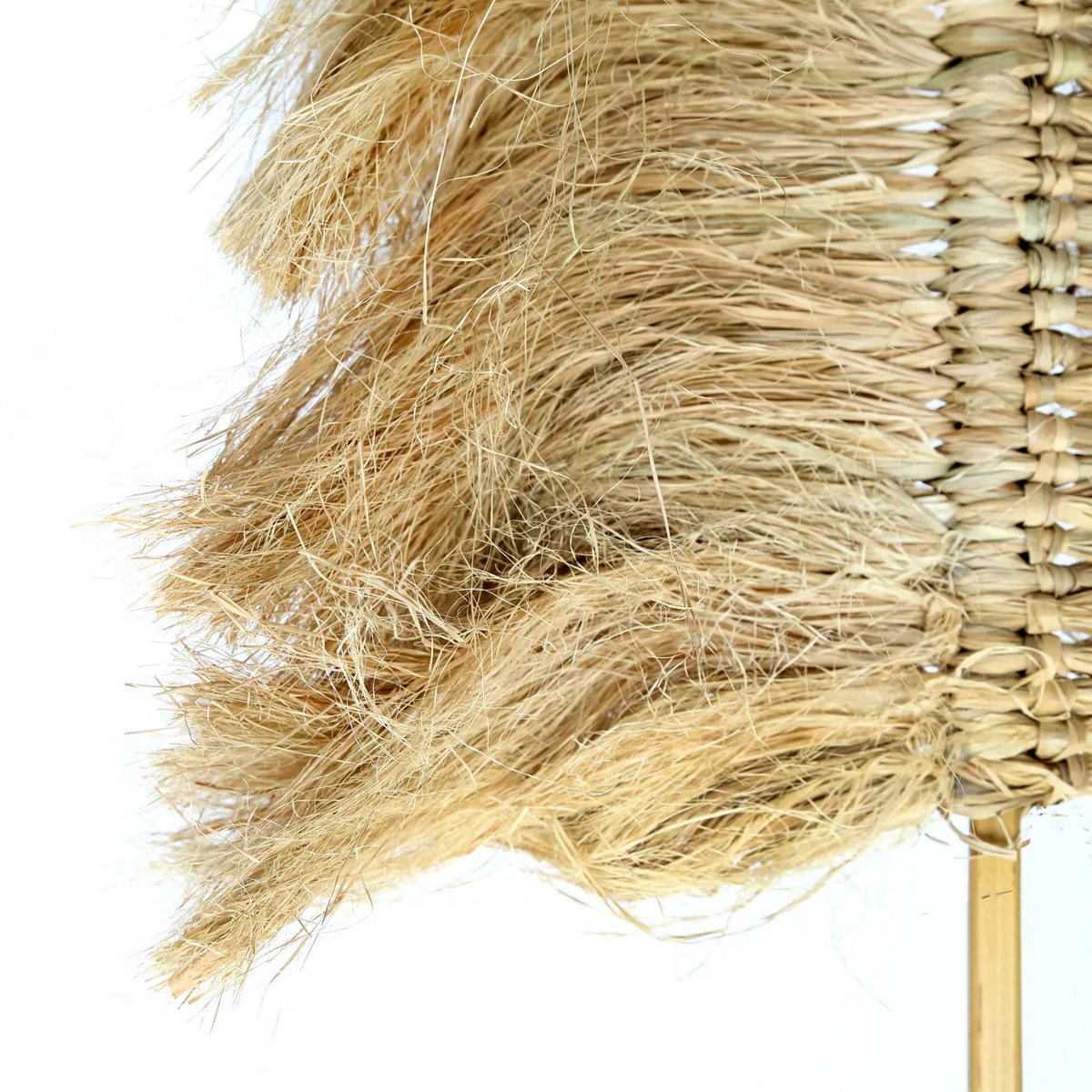 Bazar Bizar - Pampas decoratie 'Raffia Palmeira' (Naturel)