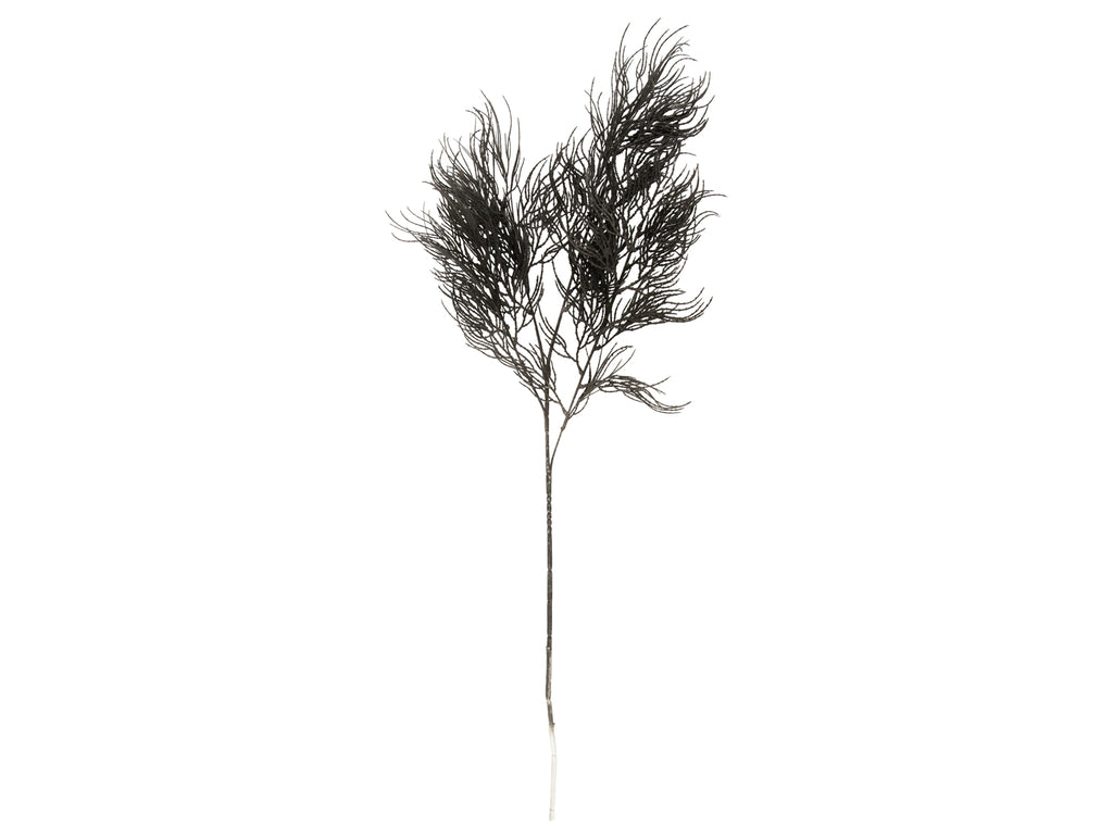 Present Time - Kunstplant 'Asparagus Fern Stem' (Black)