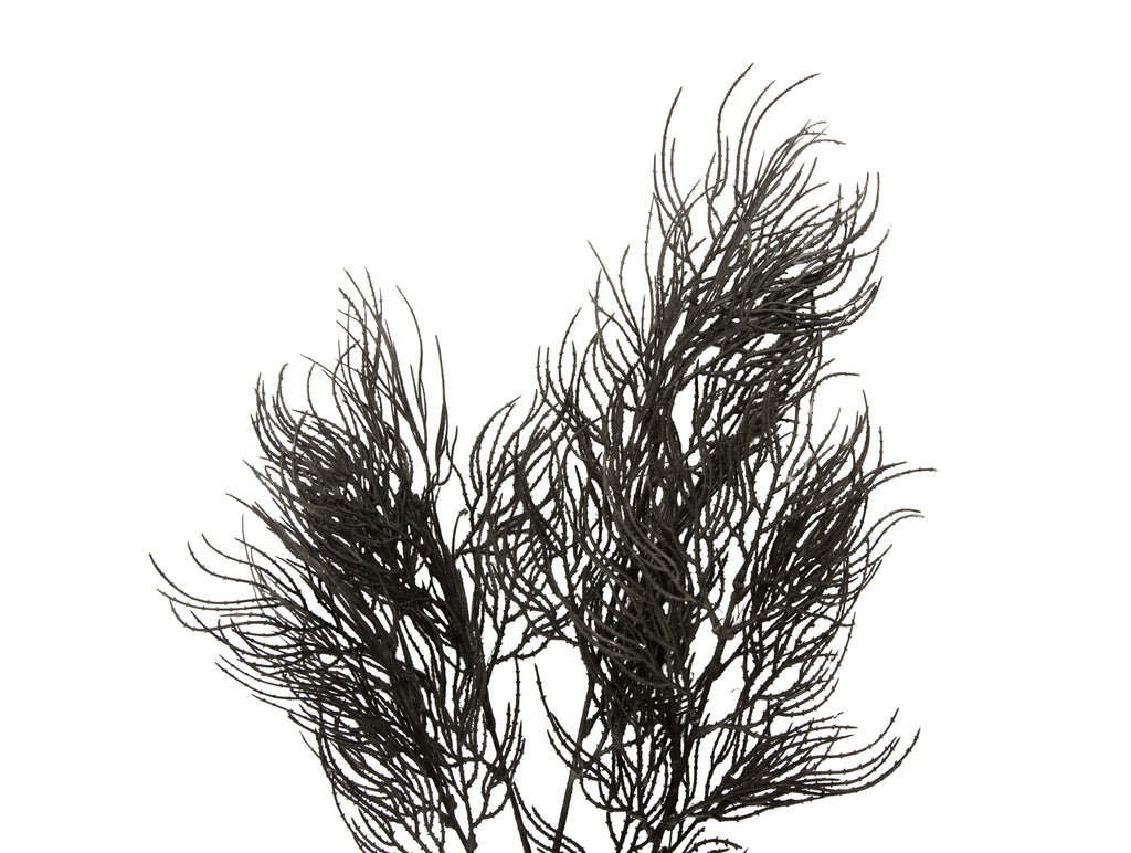 Present Time - Kunstplant 'Asparagus Fern Stem' (Black)