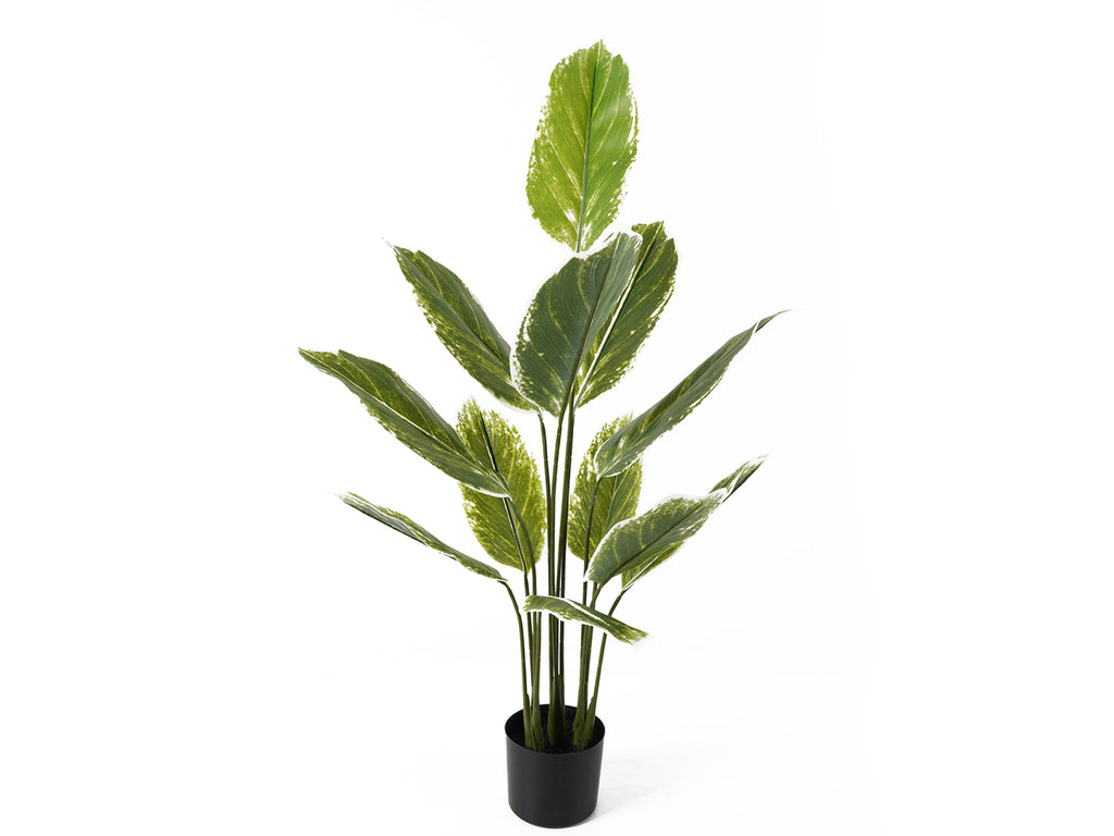 Present Time - Kunstplant 'Calathea' (Maat L, Green)