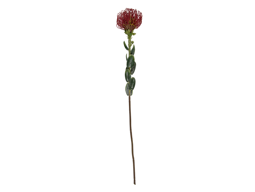 Present Time - Kunstplant 'Protea Flower' (Maat L, Red)