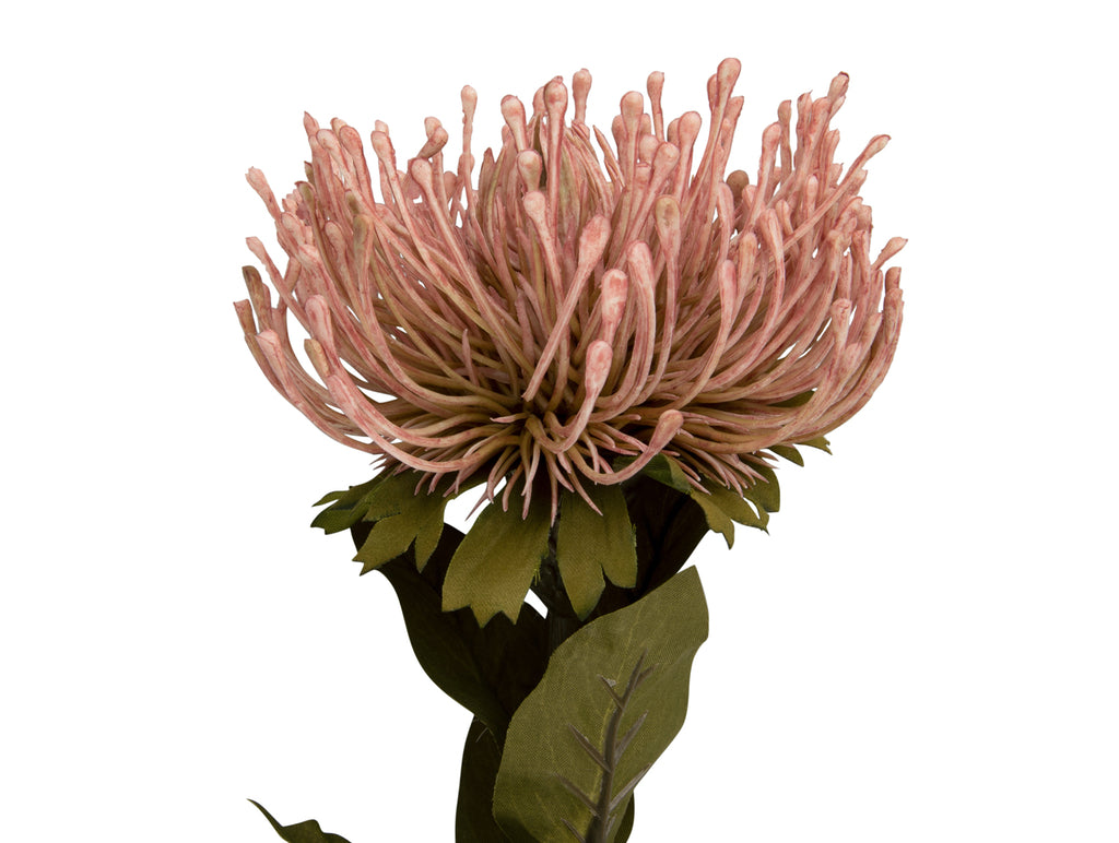 Present Time - Kunstplant 'Protea Flower' (Maat L, Light Pink)
