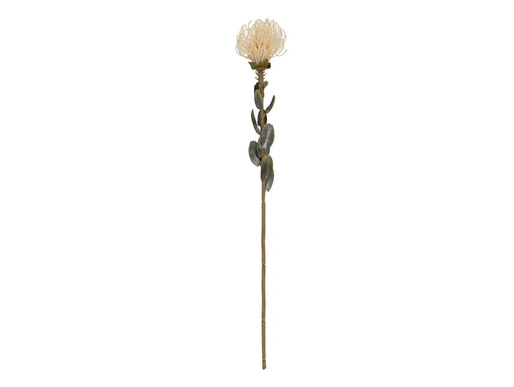 Present Time - Kunstplant 'Protea Flower' (Maat L, White)
