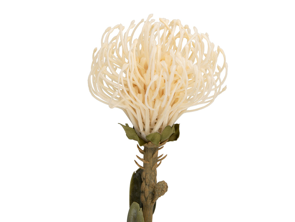 Present Time - Kunstplant 'Protea Flower' (Maat L, White)