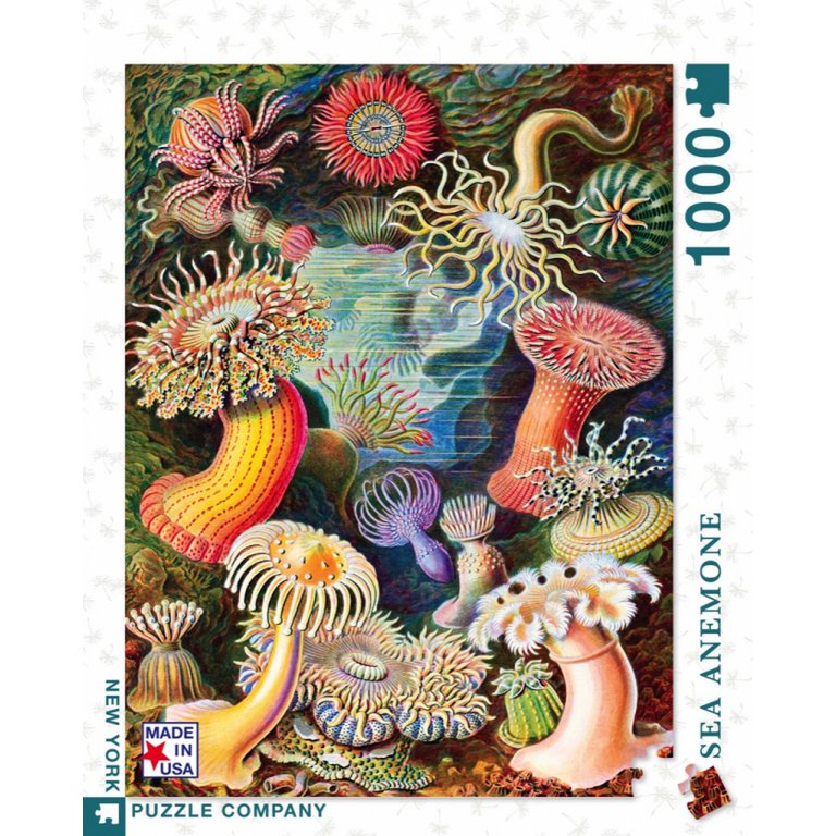 New York Puzzle Company - Puzzle 'Anémones de mer' (1000 pièces)