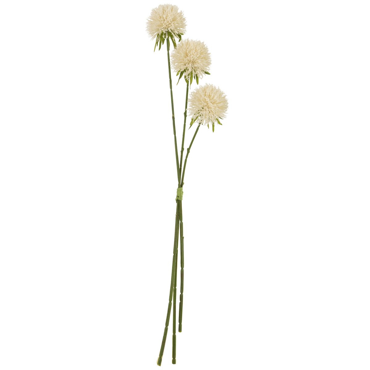 J-Line - Fleur Allium 3 Pièces Plastique Blanc L